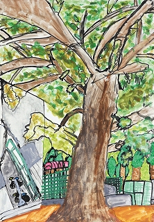 第14回きりしま美術大賞展ジュニア部門小学校高学年の部MCT南九州ケーブルテレビネット賞「せんだんの木」