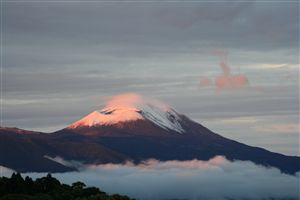 第4回きりしま大賞受賞作品「春の珍客」