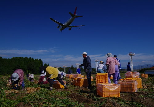 「溝辺の景」