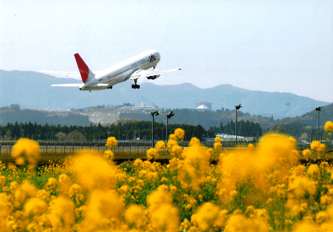 第8回日本航空賞「春の出発」
