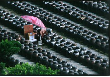 霧島市観光協会賞『愛情を注ぎ込む』