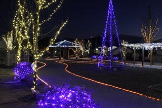 大隅横川駅イルミネーション点灯式