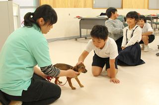 動物愛護について学ぶ尾の小学校の児童1