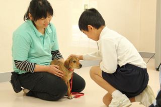 動物愛護について学ぶ尾の小学校の児童4