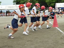 小学校運動会の画像1