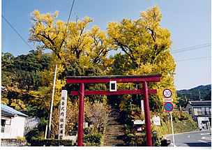 宮浦神社の画像