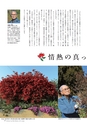 広報霧島 2015年3月号