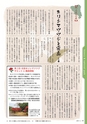 広報霧島 2015年3月号