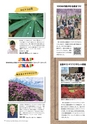 広報霧島 2015年6月号