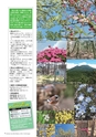 広報霧島 2016年5月号