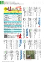 広報霧島2017年1月号