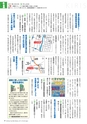 広報霧島2017年3月号