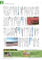 広報霧島2019年3月号