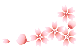 桜2
