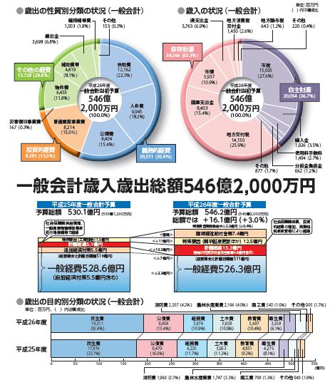 当初予算概要の画像