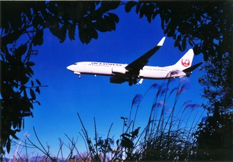 第9回日本航空賞「自然のフレームに収まって」