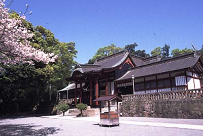 鹿児島神宮本殿及び拝殿　勅使殿　摂社四所神社本殿　写真