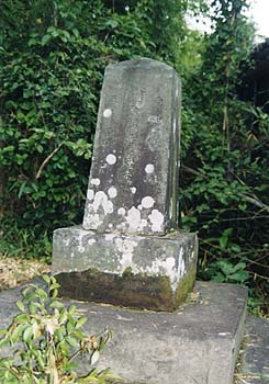 島津源七郎忠直の墓写真
