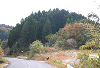 溝辺城跡写真