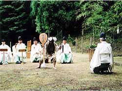 霧島神宮お田植え祭写真