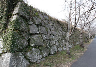 富隈城跡写真