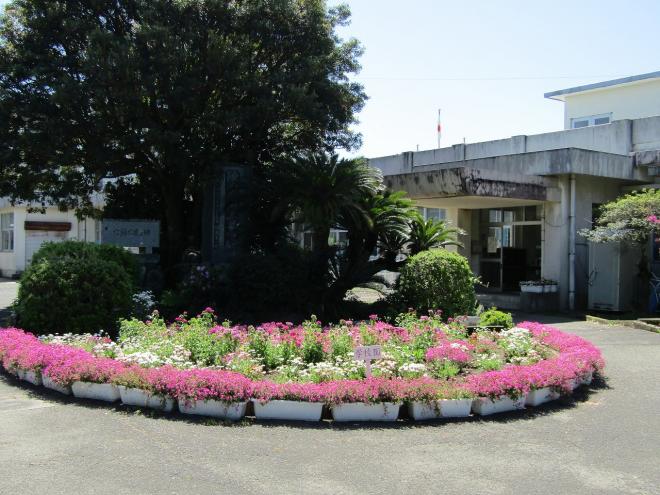 画像_陵南小学校01