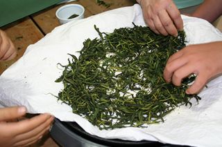 霧島茶の画像