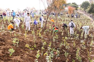 霧島市10万本植林プロジェクト教室2