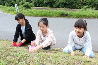 ヒガンバナの球根を植えるみなさん2