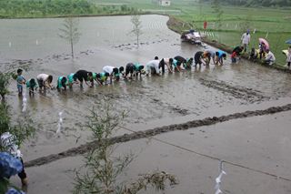 福山町佳例川地区お田植え祭