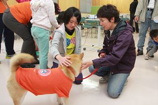 動物愛護センターフェスティバル1