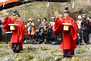 霧島神宮の御田植祭4