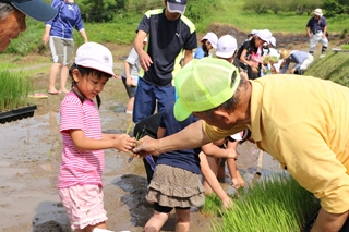 川原小学校の児童の田植え2