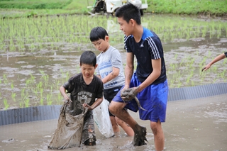 福山町佳例川地区のお田植え祭5