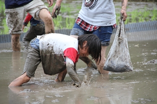 福山町佳例川地区のお田植え祭6