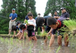 永水小田植え1