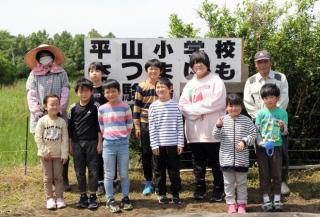 220519平山小さつま芋