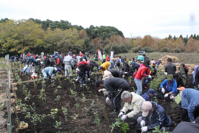 第7回市10万本植林プロジェクト植林教室