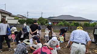 ジャガイモ収穫祭