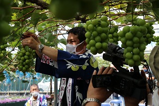 溝辺町観光果樹部会収穫祭