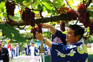 溝辺町観光果樹部会デラウェア収穫祭