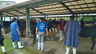 霧島市秋季畜産共進会福山地区