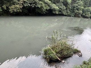 川が白く濁っている状況の写真
