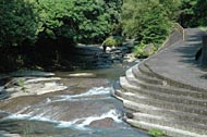 台明寺渓谷公園写真4