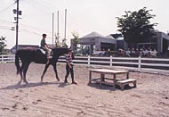 霧島高原乗馬クラブ