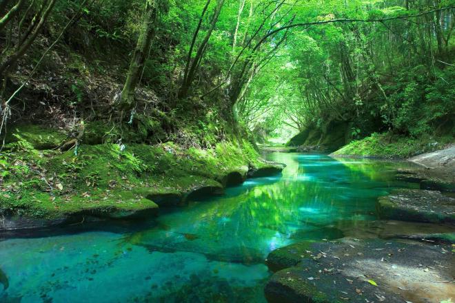 大出水の湧水2