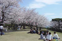 城山公園写真