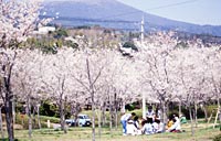 霧島高原国民休養地写真