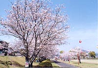 日当山温泉公園写真