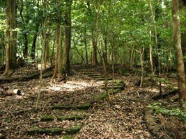 丸尾自然探勝路の画像